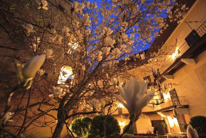 Schlosshotel Obermayerhofen Sebersdorf ภายนอก รูปภาพ