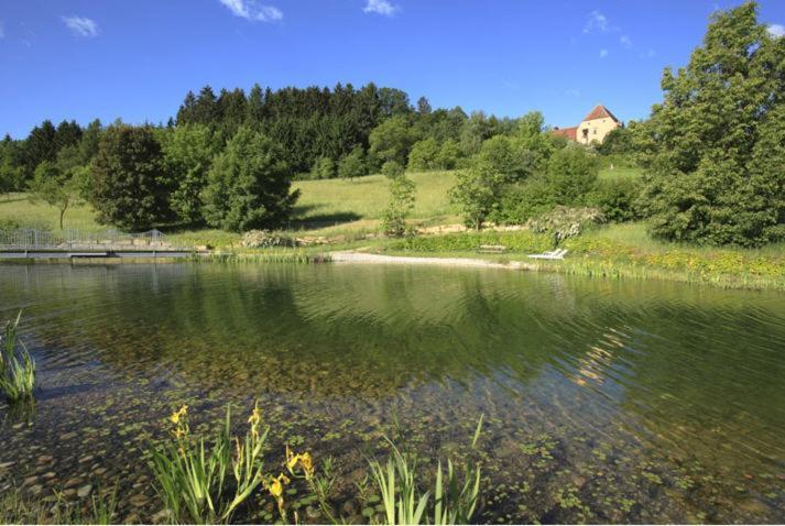 Schlosshotel Obermayerhofen Sebersdorf ภายนอก รูปภาพ